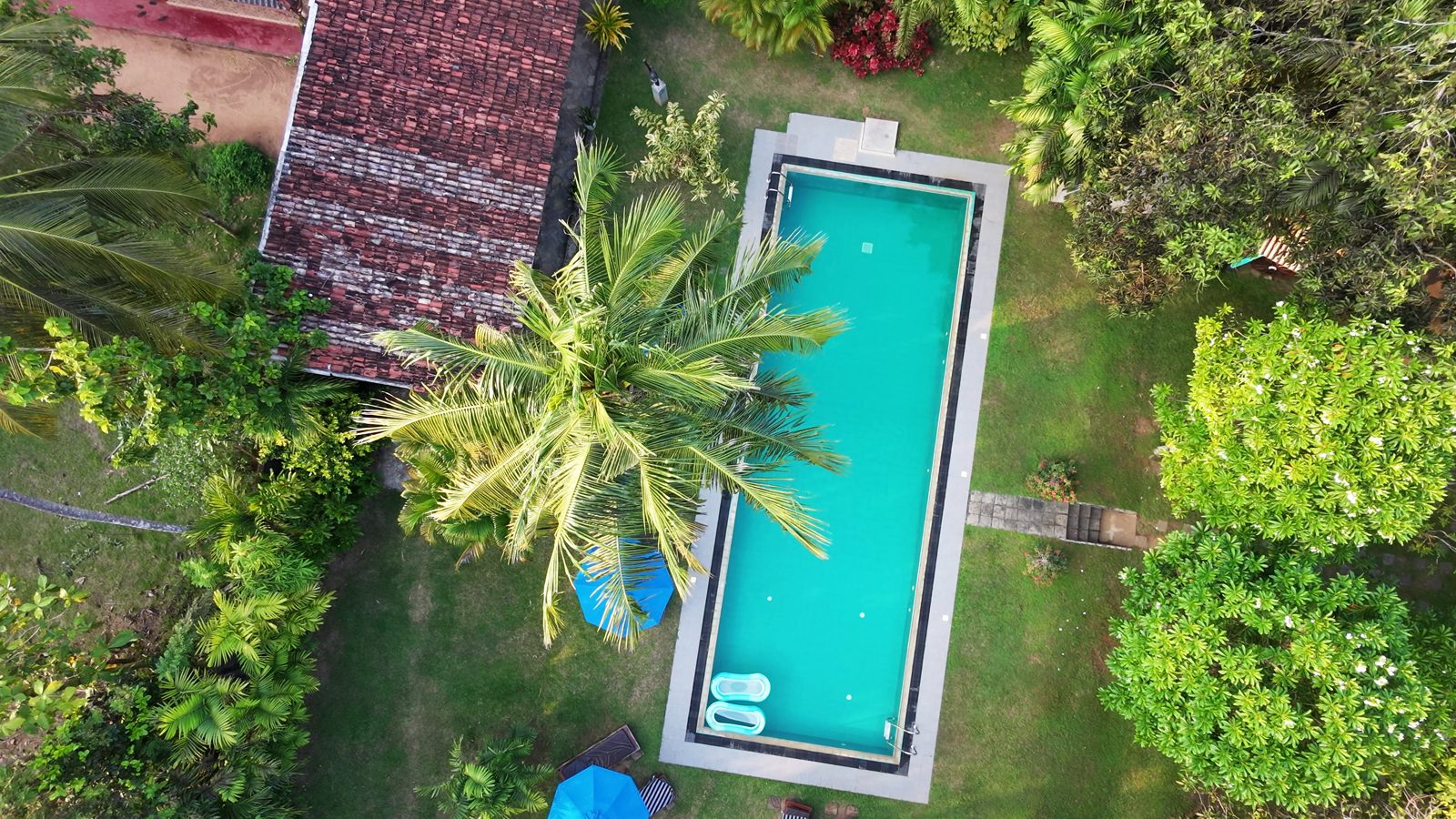 Piscina y jardín del alojamiento en Sri Lanka