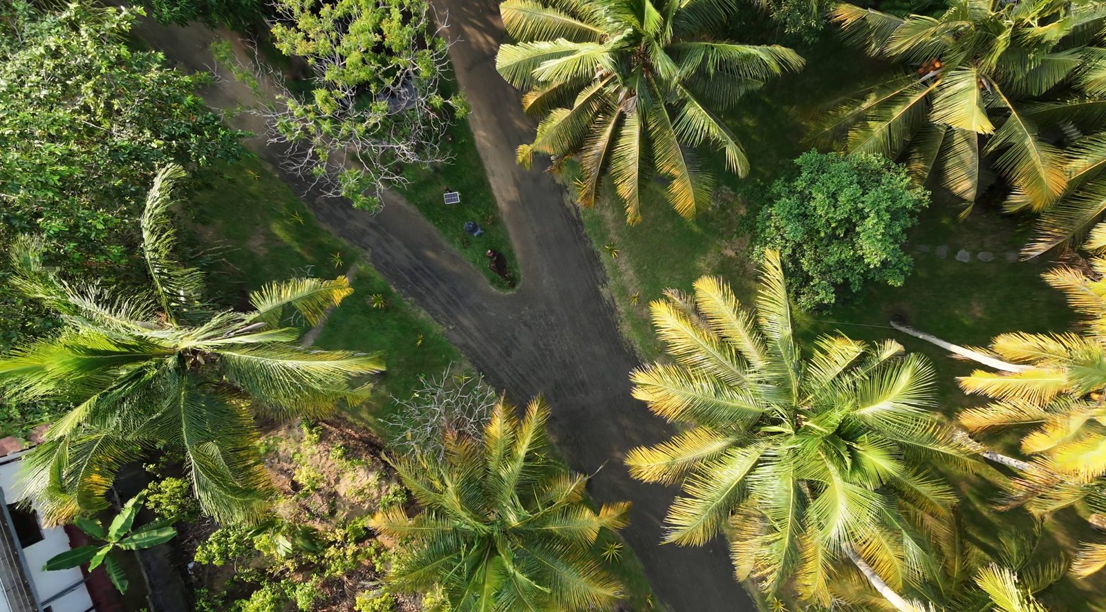 Vista aérea de la playa en Sri Lanka